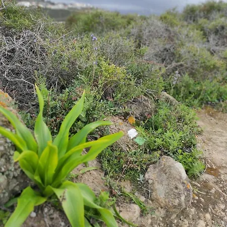 La Casita Del Sendero La Guancha