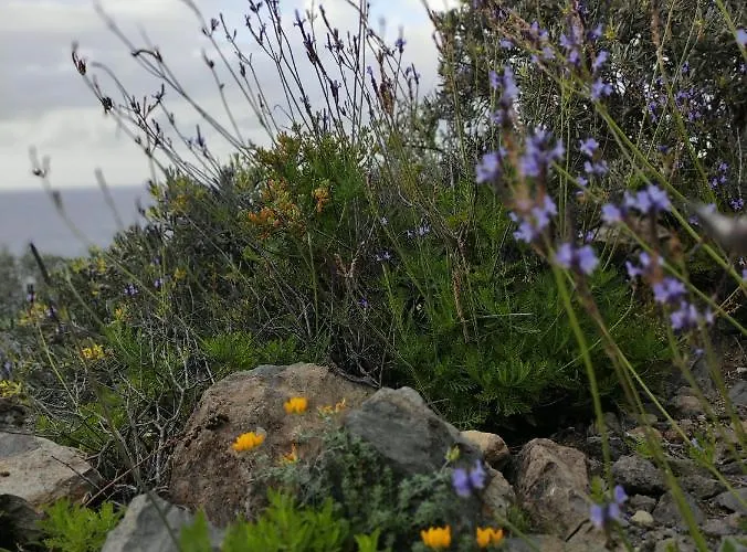La Casita Del Sendero