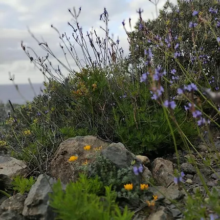 La Casita Del Sendero